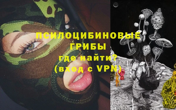 мет Белокуриха