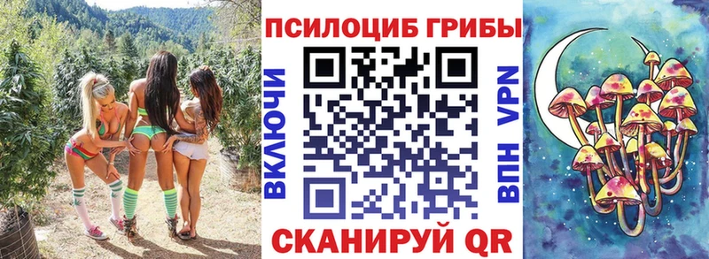 Псилоцибиновые грибы Psilocybe  Волхов 