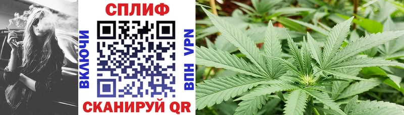 Каннабис семена  купить наркотики цена  Волхов 